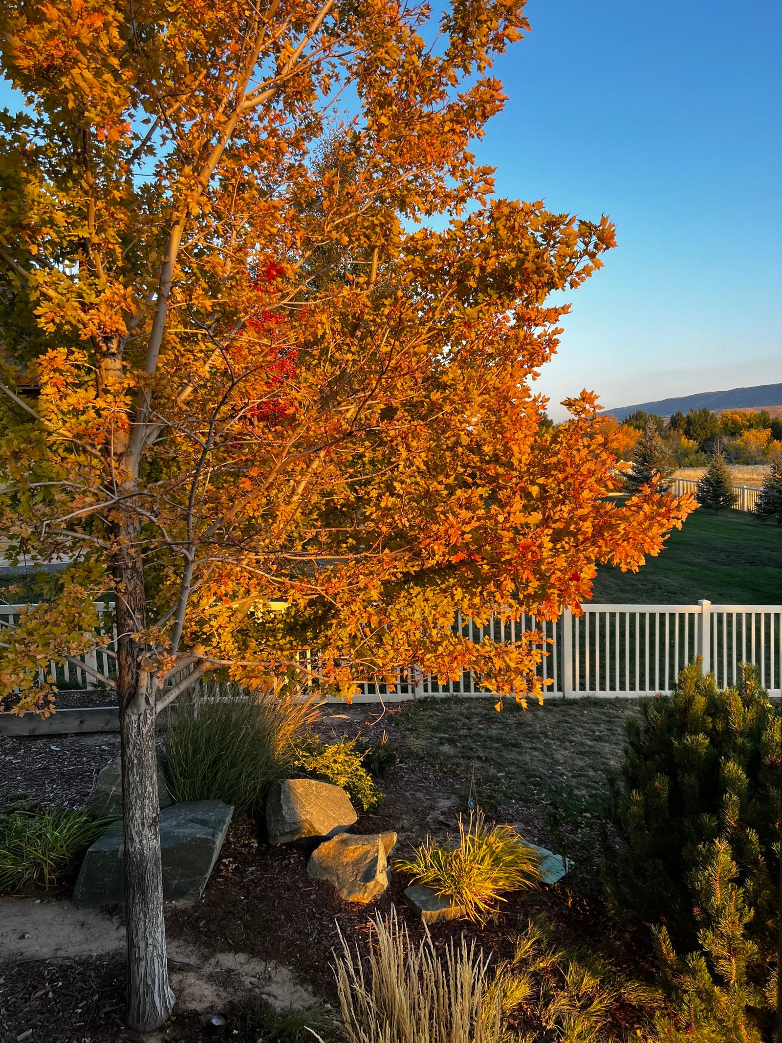 Featured image for “The Fall Traditions We Look Forward to Every Year”